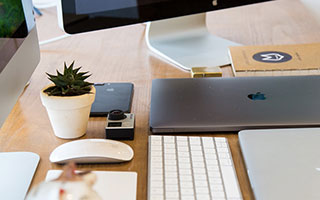 传统斗牛竞技比赛，融合文化的激情对抗，斗牛 比赛